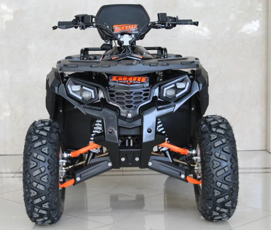 Квадроцикл GBM STORMRIDER 320 NEW LUX