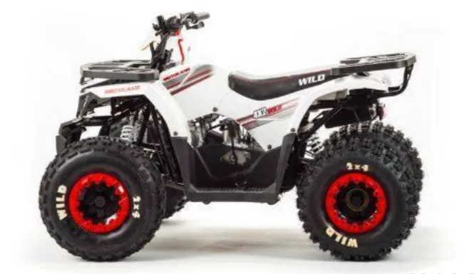 Квадроцикл MOTOLAND 125 Wild