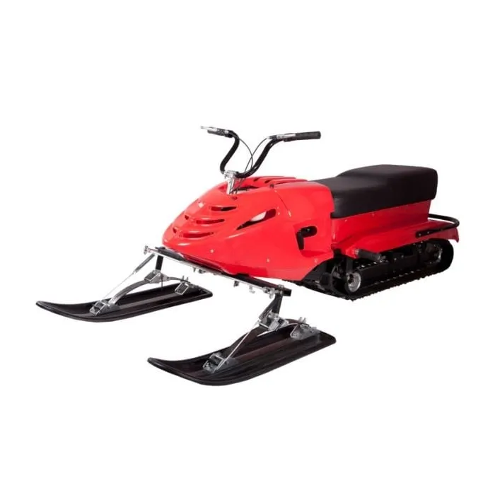 Мини-снегоход ПЕГАС 6,5 л.с.